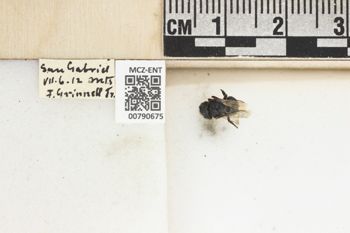 Media type: image;   Entomology 790675 Aspect: Labels